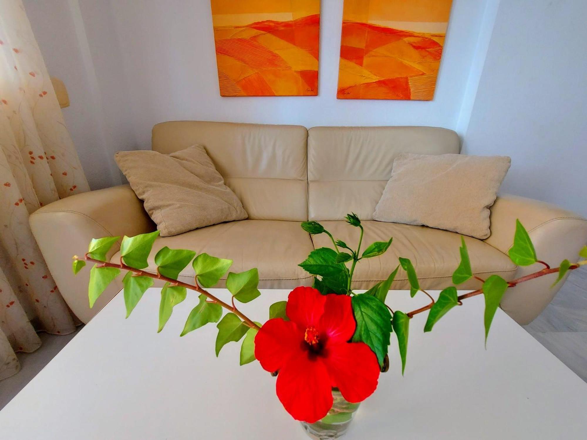 Apartamento Pilar Lomas de Mena Benalmádena Exterior foto
